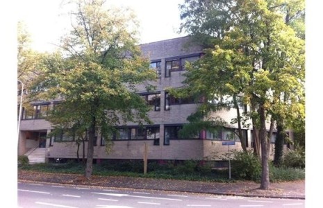 img (18)