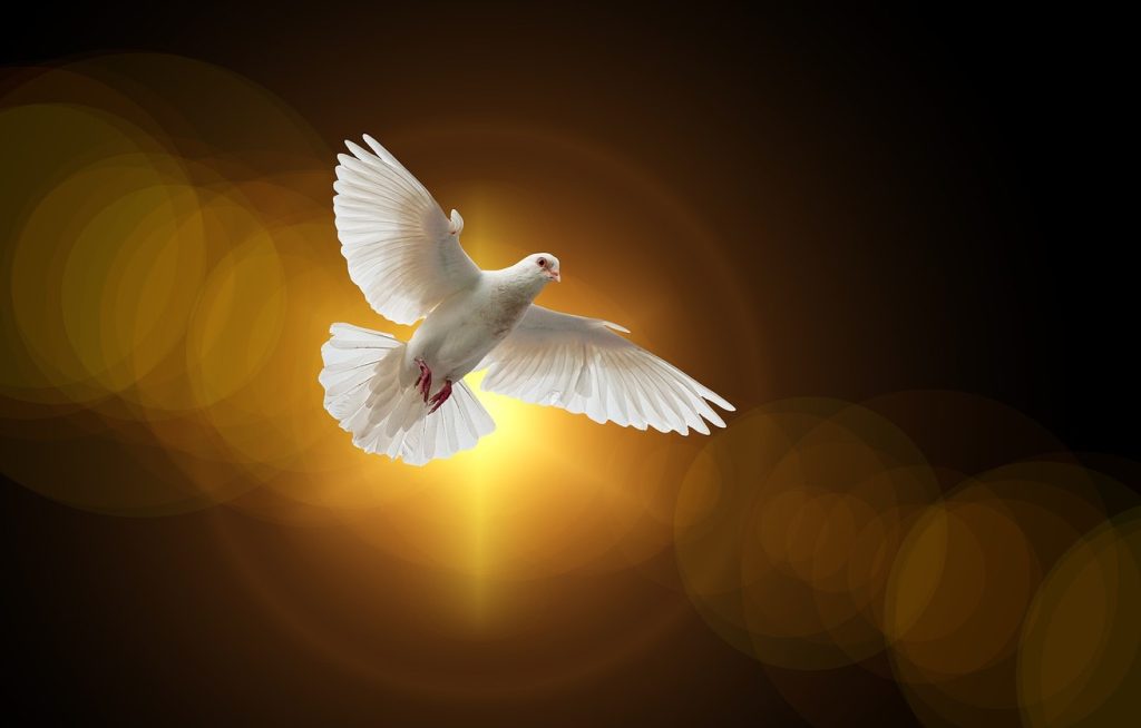 Bisschoppen schrijven brief over vrede en gerechtigheid in deze tijden van onrust en conflicten