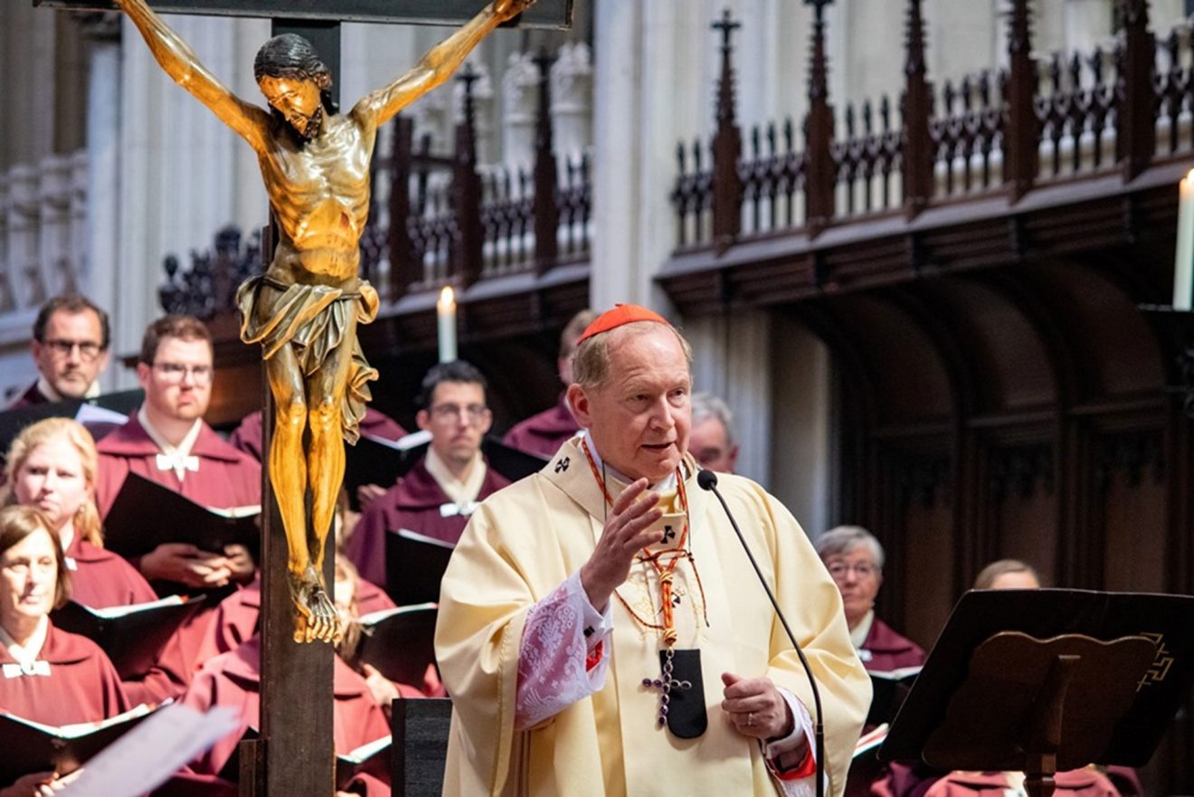 Kardinaal Eijk bij dankviering heilige Titus Brandsma: ‘Hij deed wat Jezus vroeg'