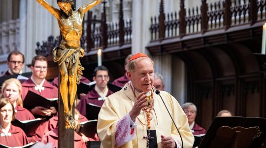Kardinaal Eijk bij dankviering heilige Titus Brandsma: ‘Hij deed wat Jezus vroeg’