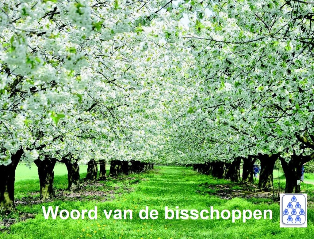 Woord van de bisschoppen: ‘Een toekomst van waardigheid en vrede voor alle mensen’